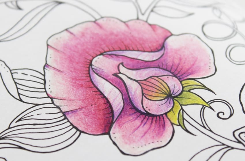 How To Draw A Sweet Pea Flower Step By Step Best Flower Site