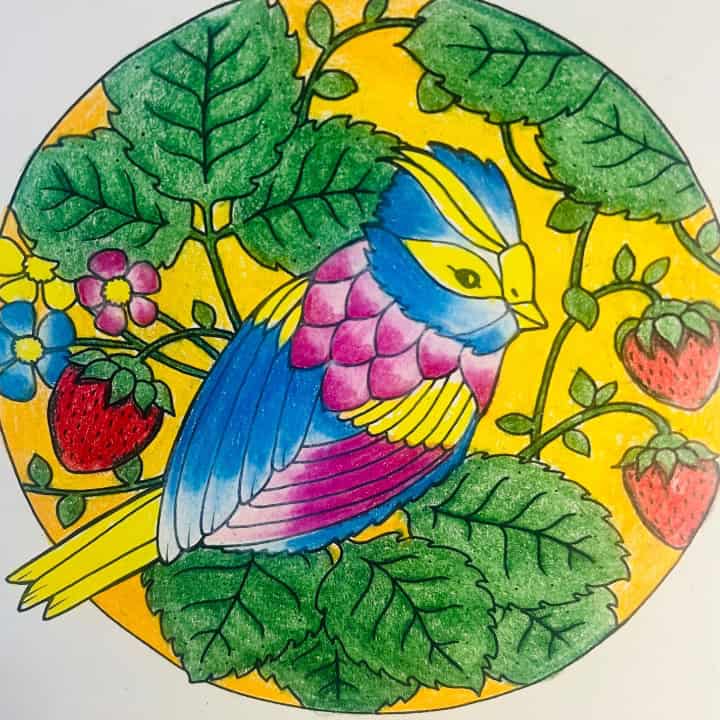 cheena7271 – 18/07/2026