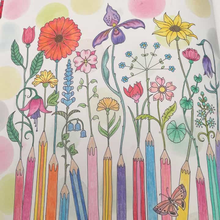 Debbie Willis – 29/07/2026