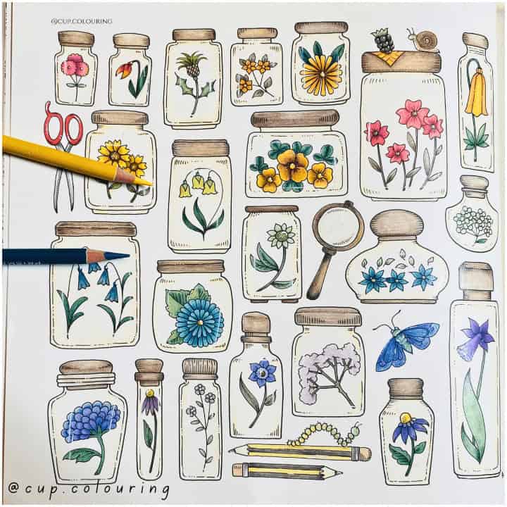 cup.colouring39 – 12/07/2026