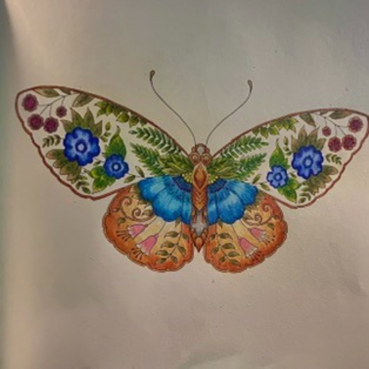 mycasunshine48 – 21/09/2026