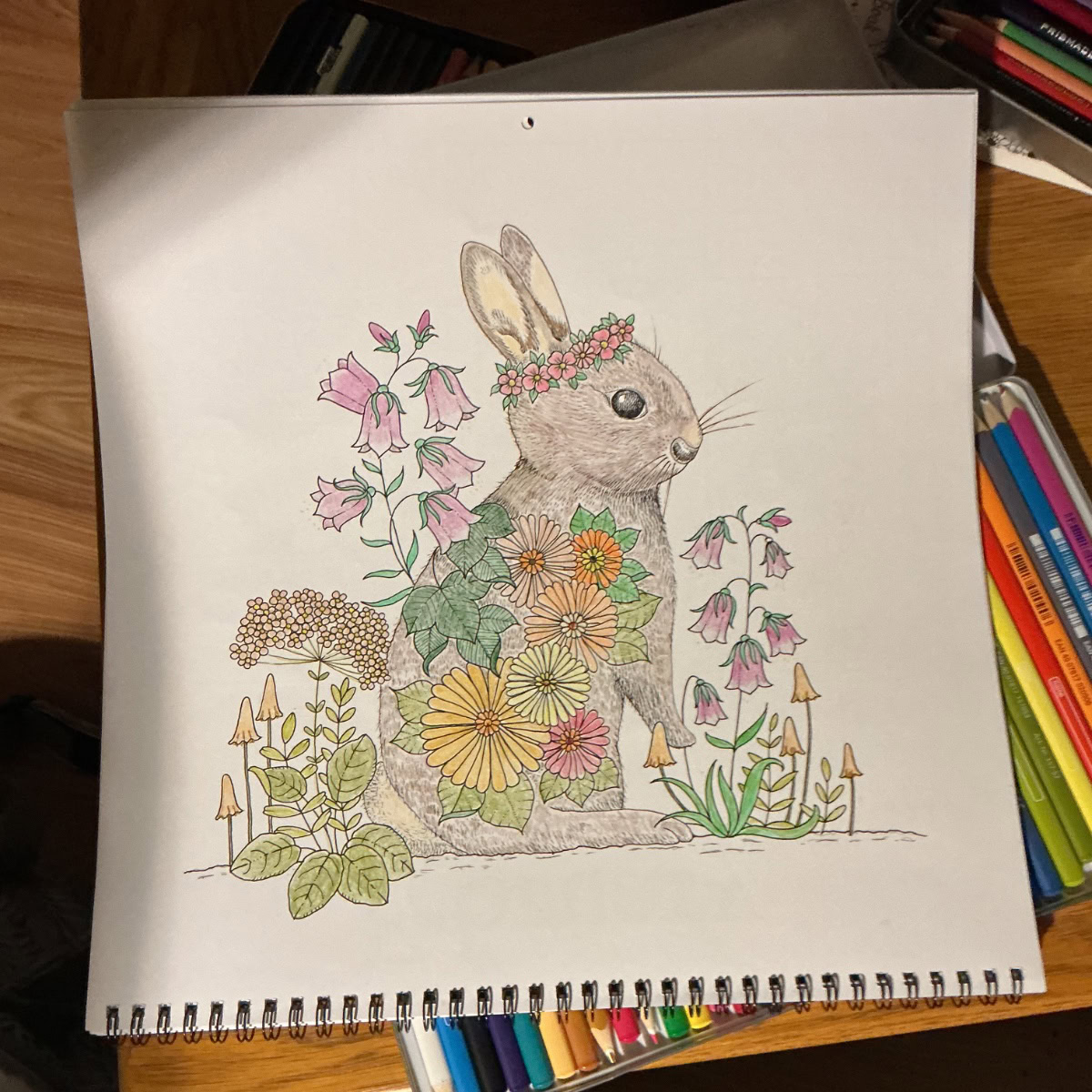 Elizabeth Booth – 09/10/2026