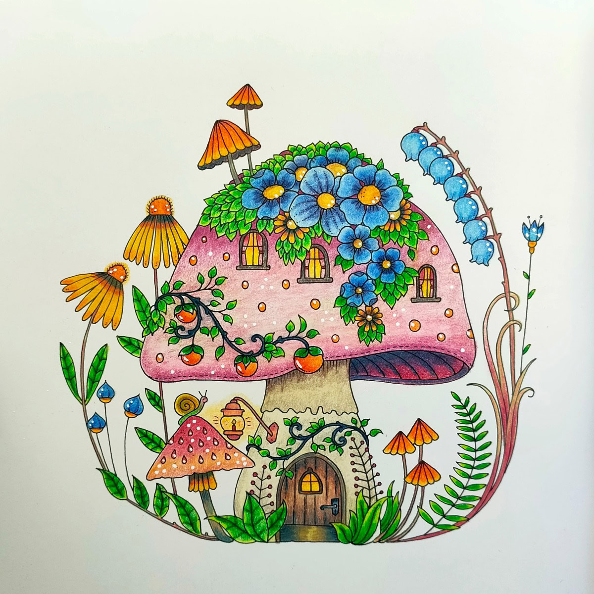 Ligia Ferreira – 01/10/2026