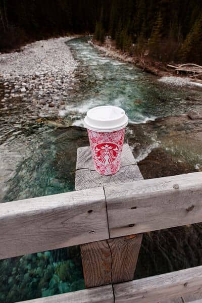 Inky Red Cup in Canada Inky Red Cup in Canada