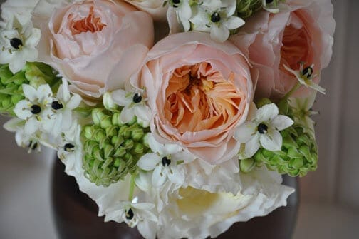lotte & bloom