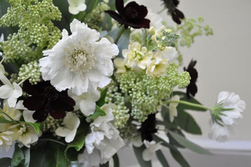 lotte & bloom